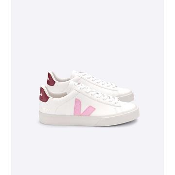 Low Tops Sneakers Barbati Veja CAMPO CHROMEFREE White/Pink | RO 193WNB